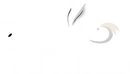 Dank Attire 